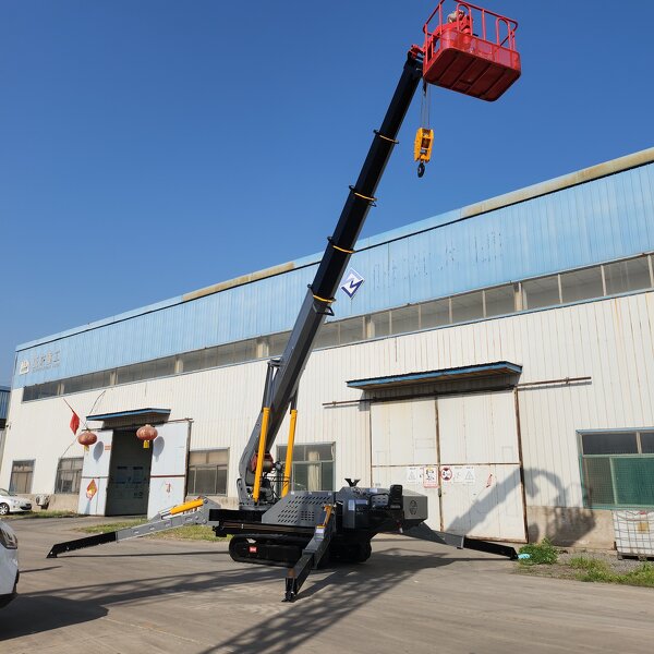 Hydraulic Spider Crane Factory - OEM Fast Shipping 12 Ton Diesel