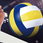 PVC Inflatable Volleyball Manufacturer - Customizable Promotion Toy