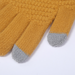 Winter Touch Screen Gloves Supplier - OEM Custom Cold Weather Warm