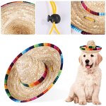 Mexican Sombrero Party Hats Manufacturer - OEM Wholesale Mini Adjustable