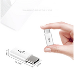 OTG Convertor Manufacturer - OEM Hot Selling Micro to Type-C Black