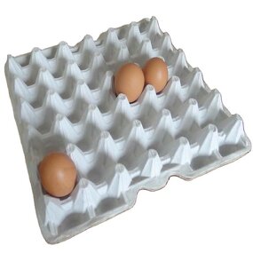 Common 30 Cells Paper Egg Tray Manufacturer - OEM Carton for Chicken