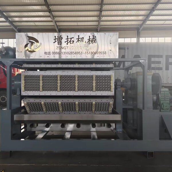 Waste Paper Recycling Machine Manufacturer - OEM Egg Carton Box Machine