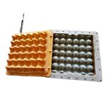 Plastic Egg Tray Mould Supplier - OEM Customized Aluminum Factory