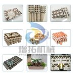 High-efficiency Pulp Egg Tray Machine Manufacturer - OEM 34 Line