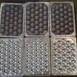 Small Manual Apple Tray Machine Factory - OEM 1000 -3000 Pcs/h Sun