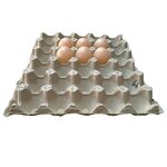 Hot Selling Paper Egg Tray Supplier - OEM 30 Cells Paper Egg Tray