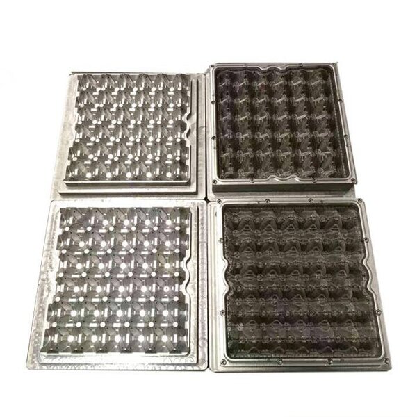 ABS Plastic Aluminum Egg Dish Mold Supplier - OEM 30