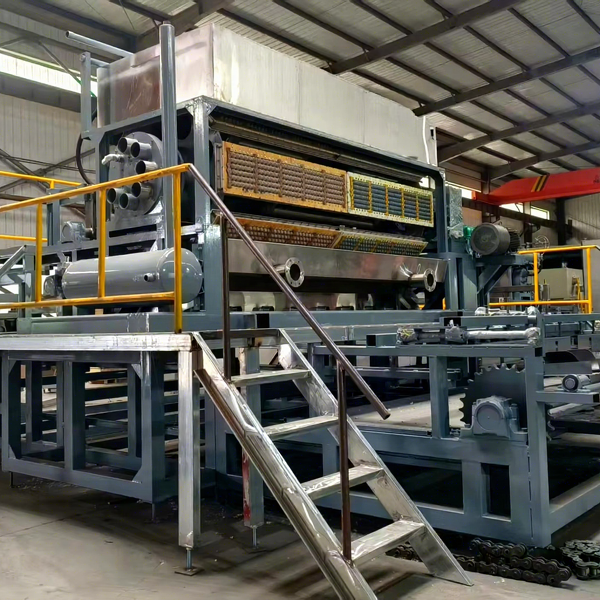 Eco Friendly Egg Tray Line Manufacturer - OEM Full Automatic China