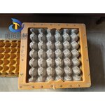 Plastic Egg Tray Mould Supplier - OEM Customized Aluminum Factory