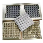 Single Chunk Plastic Egg Tray Mould Manufacturer - OEM 290x290mm