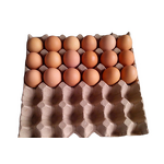 Common 30 Cells Paper Egg Tray Manufacturer - OEM Carton for Chicken