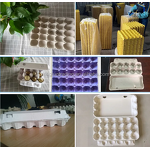 Common 30 Cells Paper Egg Tray Manufacturer - OEM Carton for Chicken
