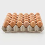 Hot Selling Paper Egg Tray Supplier - OEM 30 Cells Paper Egg Tray