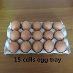 Common 30 Cells Paper Egg Tray Manufacturer - OEM Carton for Chicken