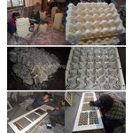 295295mm Plastic Egg Tray Mould Factory - OEM Customized Aluminum