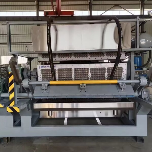 High-efficiency Egg Tray Line Supplier - OEM ZT 4-8 Factory Direct