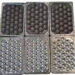 Molded Pulp Packaging Machine Factory - OEM Fruit Apple Tray Making