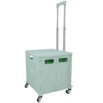 Portable Folding Shopping Cart Manufacturer - OEM with Universal Wheel