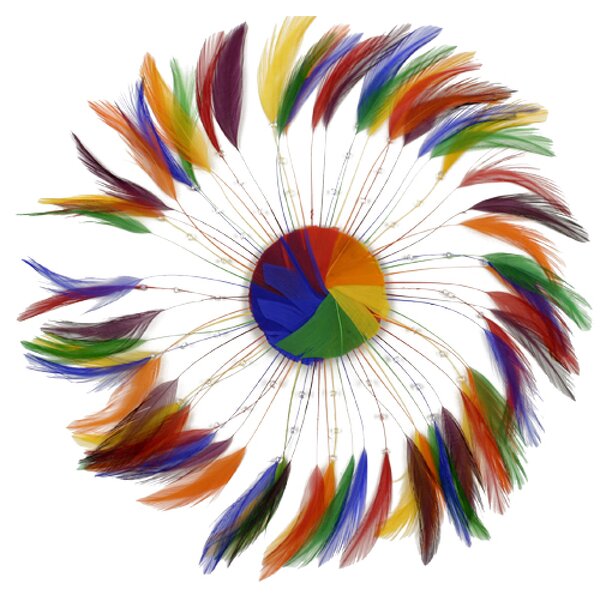 Chicken Hackle Feather Plate Supplier - Rainbow Millinery