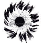 Chicken Hackle Feather Plate Supplier - Rainbow Millinery