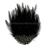 Feather Pads Supplier - Natural Millinery Hair Clip Custom