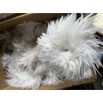 Chicken Feather Craft Supplier - Dyed Party Costume Accessory
