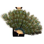Peacock Feather Hand Fan Supplier - Wholesale Held Fan