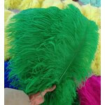 Ostrich Feather Supplier - Eco-friendly Bulk Backdrop Decor
