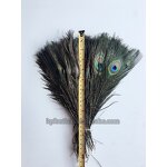 Peacock Feather Supplier - Natural Bark Party Decor