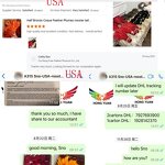 Rooster Feather Fringe Manufacturer - Brown Sewing Ribbon Trim