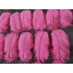 Ostrich Feathers Manufacturer - Bulk Blue White Vase Decor