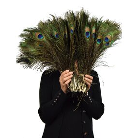 Peacock Feather Supplier - Natural Bark Party Decor