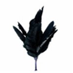 Ostrich Feather Floral Pick Supplier - Yellow Wire Stem DIY