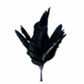 Ostrich Feather Floral Pick Supplier - Yellow Wire Stem DIY