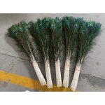 Peacock Feather Supplier - Dyed Large Party Decor