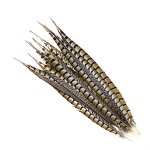 Artificial Pheasant Feathers Manufacturer - Carnival Jewelry