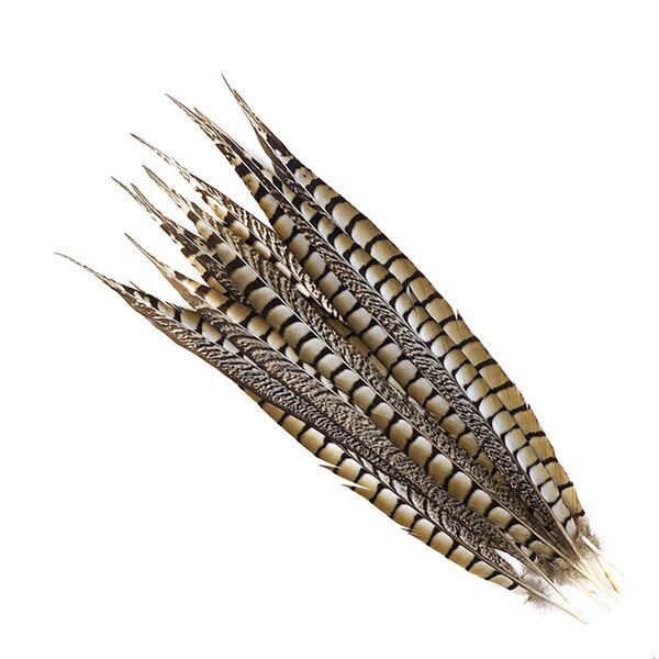 Artificial Pheasant Feathers Manufacturer - Carnival Jewelry
