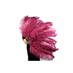 Ostrich Feather Hand Fan Supplier - Large Folding Costume