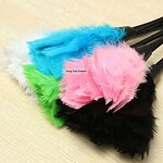 Turkey Feather Duster Manufacturer - White Eco-friendly Office