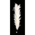 Ostrich Feather Duster Factory - Dyed Grey Eco-friendly