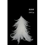 Rooster Feather Tree Manufacturer - White Festive Christmas