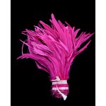 Rooster Tail Feather Factory - Dyed Craft Costume Accessory