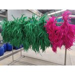 Rooster Tail Feather Factory - Dyed Craft Costume Accessory