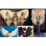 Rooster Feather Angel Wing Factory - Beautiful Stage Show