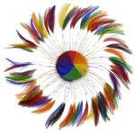 Chicken Hackle Feather Plate Factory - Rainbow Wedding Craft