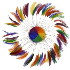 Chicken Hackle Feather Plate Factory - Rainbow Wedding Craft