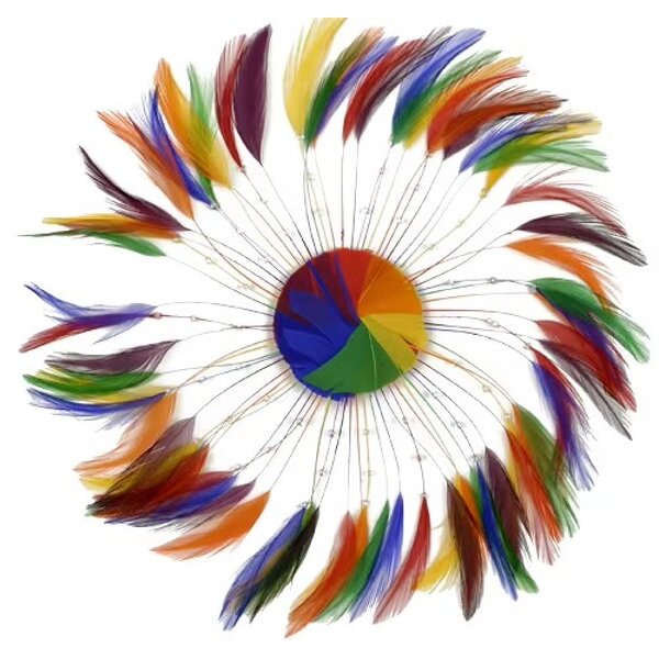 Chicken Hackle Feather Plate Factory - Rainbow Wedding Craft