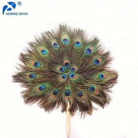 Peacock Feather Hand Fan Factory - Hand Decorative Party