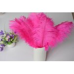 Ostrich Feather Fan Factory - Large Pink Women Party